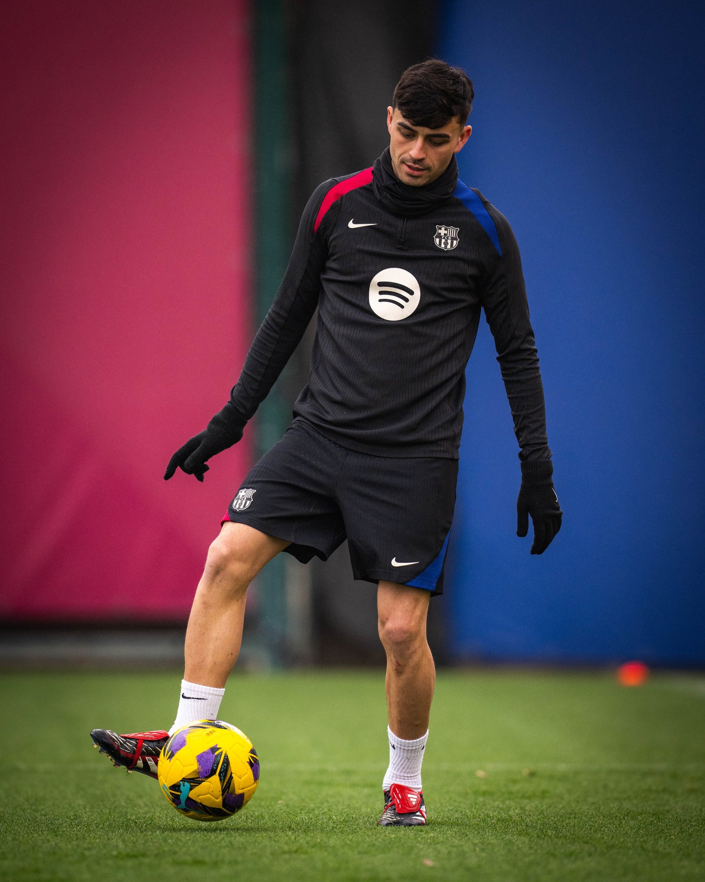 Training Sweatshirt 24/25